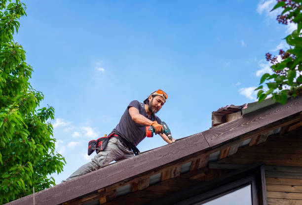 Best Roof Ventilation Installation  in Agler Beach, FL